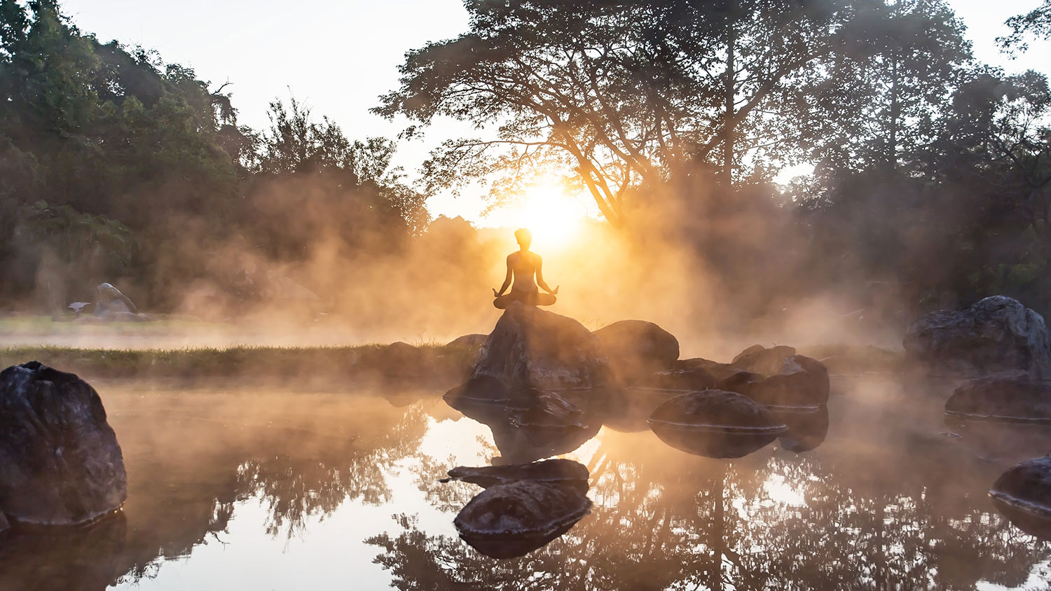 Introduction à l’Holisme : méditation dans forets
