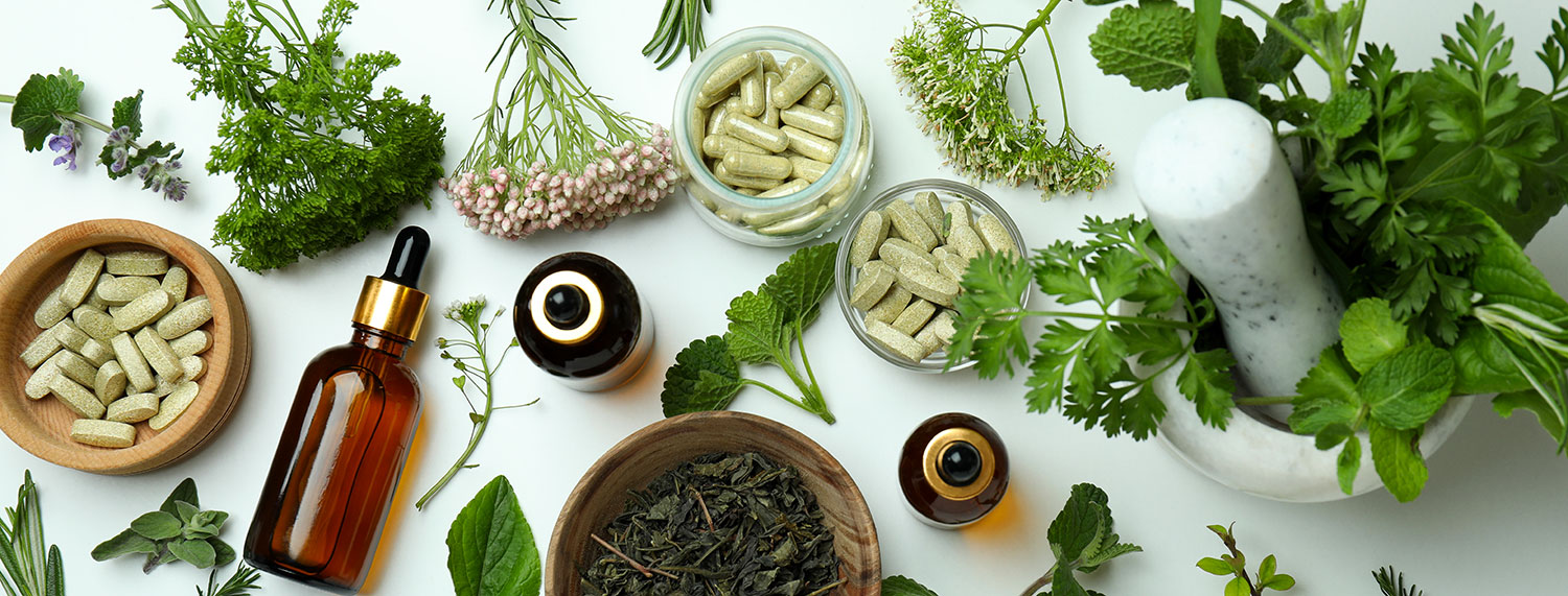 Introduction à l’Holisme : Plantes, herbes, médicale