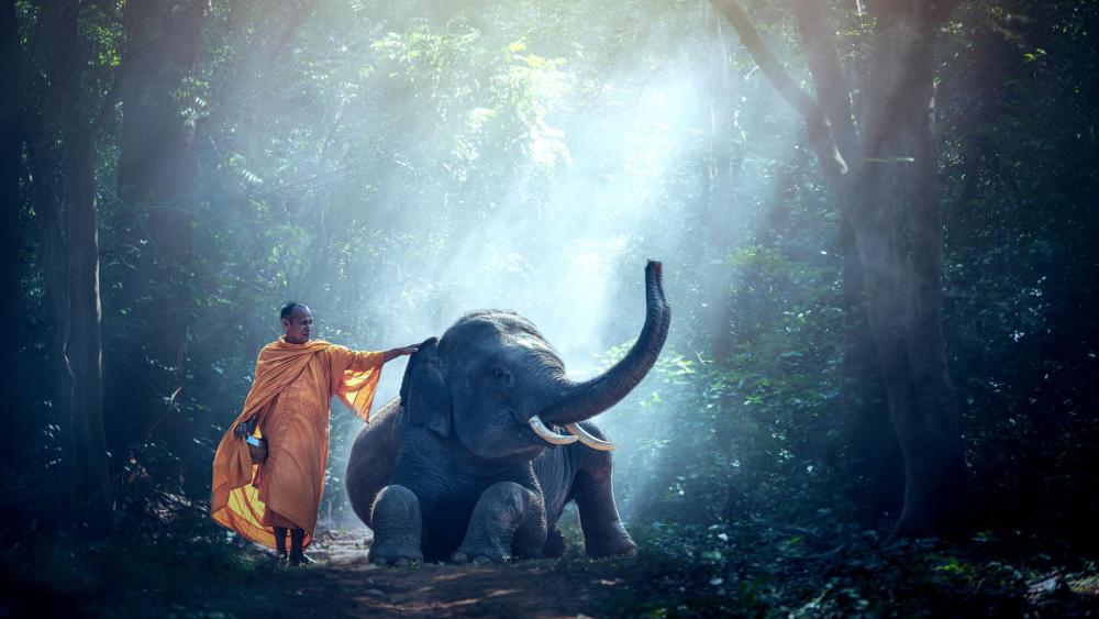 Bouddha (Siddhartha Gautama)