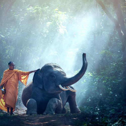 Bouddha (Siddhartha Gautama)