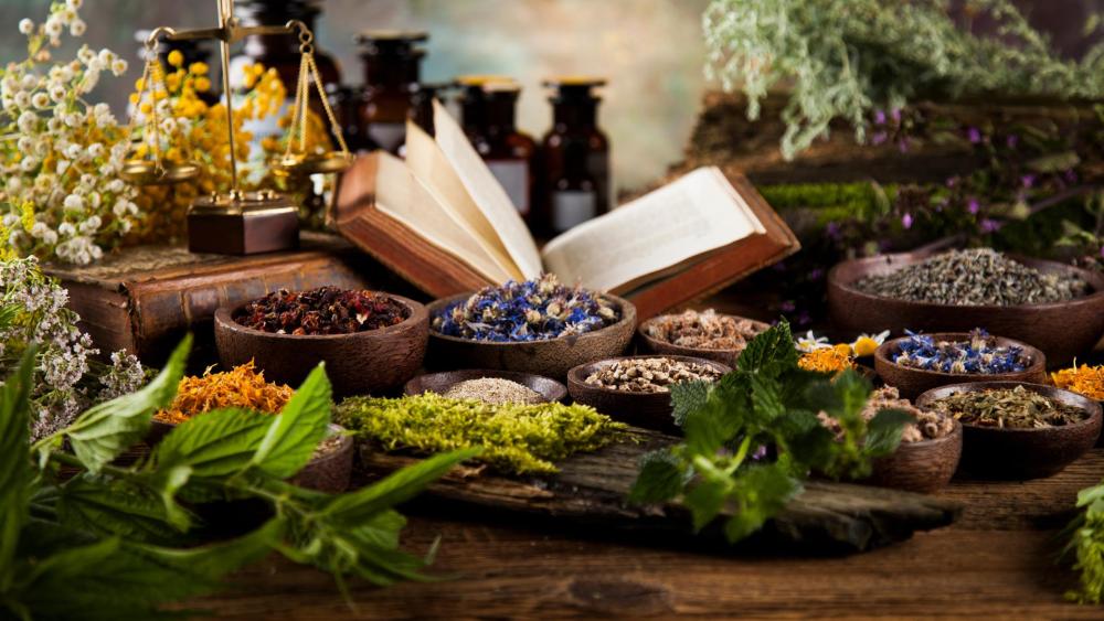 Tistrya : La médecine des plantes : symbolisme et pouvoir énergétique