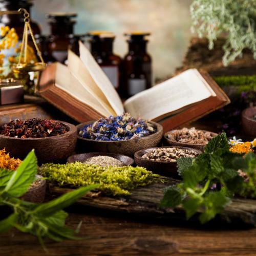 La médecine des plantes : symbolisme et pouvoir énergétique