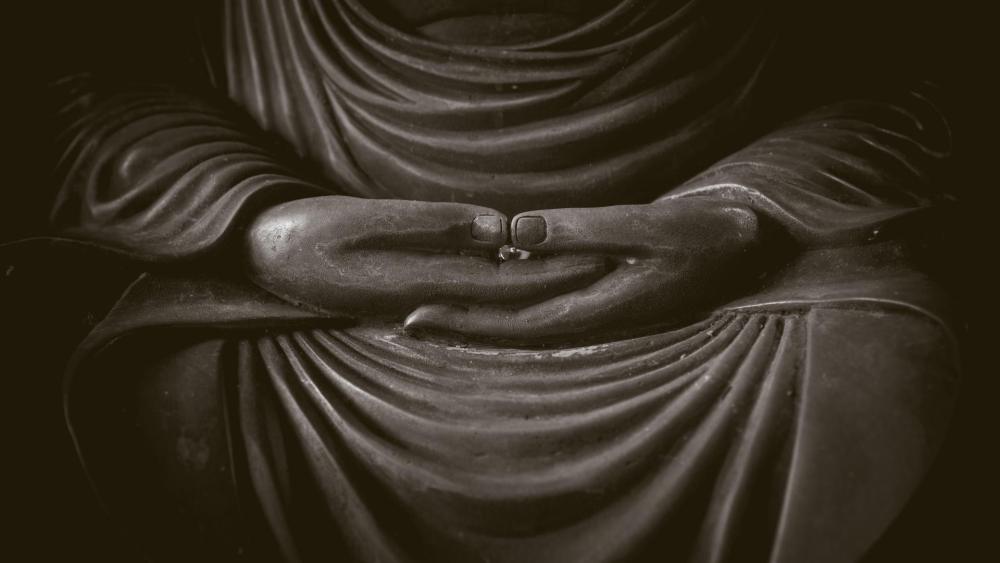 Tistrya : La voie du milieu : sagesse bouddhiste pour l'équilibre intérieur